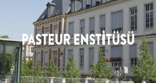Pasteur Enstitüsü