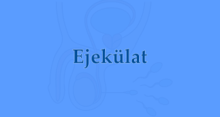 Ejekülat