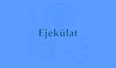 Ejekülat