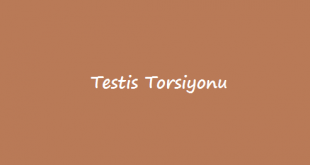 Testis Torsiyonu