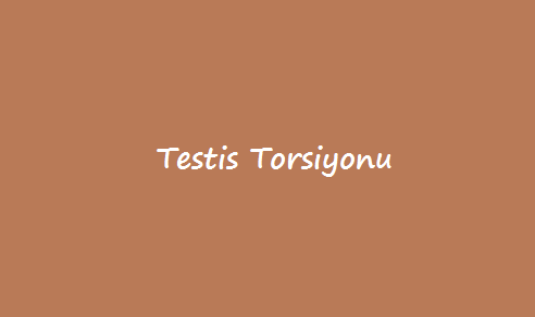 Testis Torsiyonu