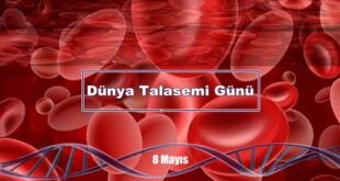 Dünya Talasemi Günü, kalıtsal kan hastalıklarının önemini vurgulamak veya toplumda farkındalık oluşturmak