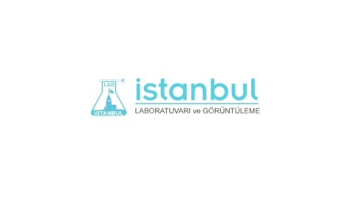 İstanbul Laboratuvarı