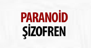 Paranoid Şizofreni