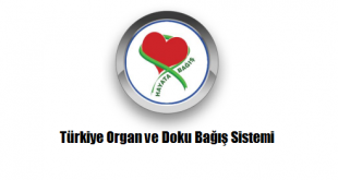 Türkiye Organ ve Doku Bağış Sistemi