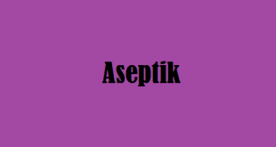 Aseptik