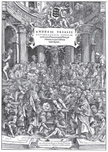 Andreas-Vesalius-De-Humani-Corporis-Fabrica-Kadavra