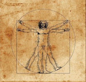 Leonardo-da-Vinci-Anatomi-Cizimi