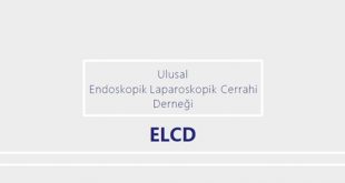 Ulusal Endoskopik-Laparoskopik Cerrahi Derneği