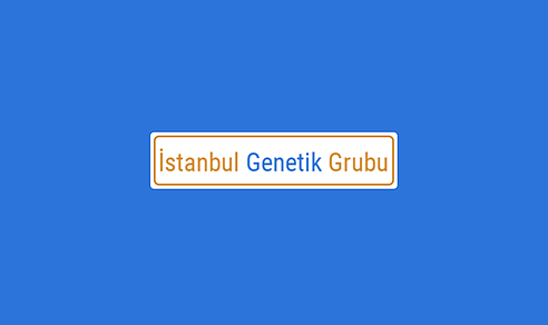 İstanbul Genetik Grubu