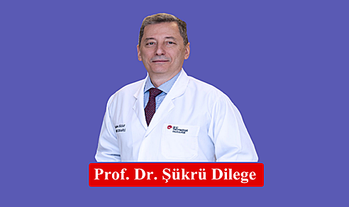 Prof. Dr. Şükrü Dilege