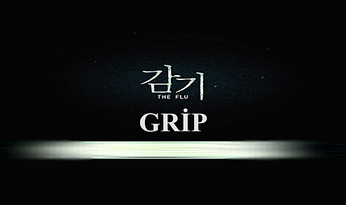 Grip - Flu - Gamgi