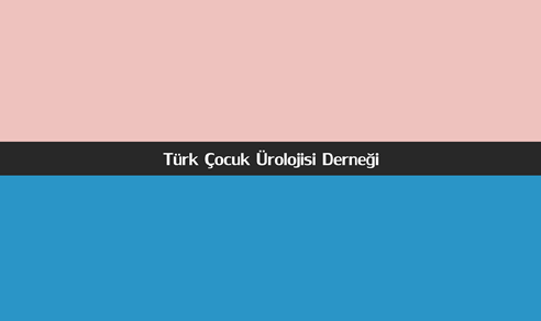 Türk Çocuk Ürolojisi Derneği