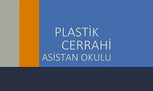 Plastik Cerrahi Asistan Okulu