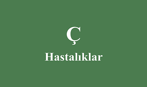 Ç ile başlayan Hastalıklar
