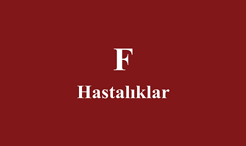 F ile başlayan Hastalıklar