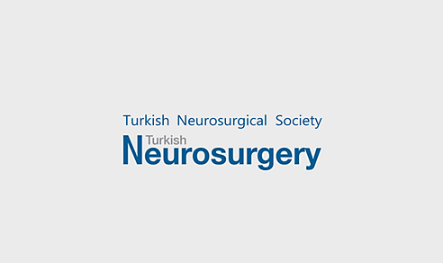 Turkish Neurosurgery
