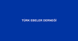 Türk Ebeler Derneği