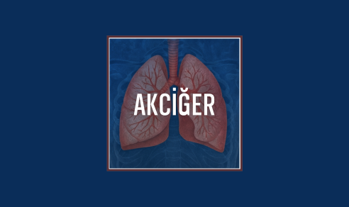 Akciğer