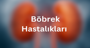 Böbrek Hastalıkları