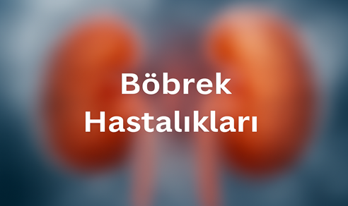 Böbrek Hastalıkları
